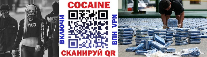 Кокаин FishScale  Купить закладки  Пошехонье 
