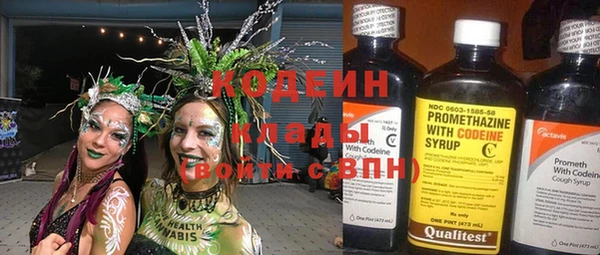 дмт Нея
