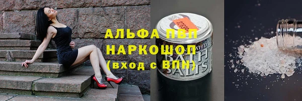 дмт Нея