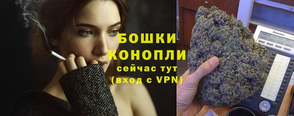 дмт Нея