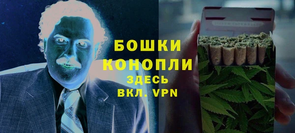 дмт Нея