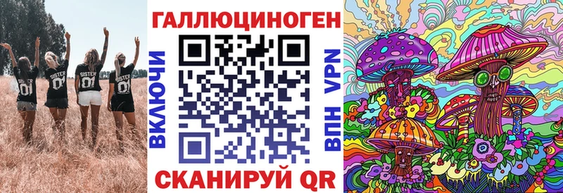 Купить закладки  Пошехонье  Псилоцибиновые грибы GOLDEN TEACHER 
