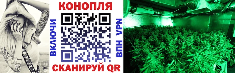 Купить  Пошехонье  Марихуана планчик 